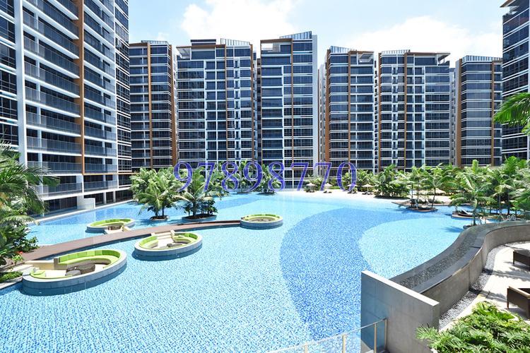 Coco Palms (D18), Condominium #167919192